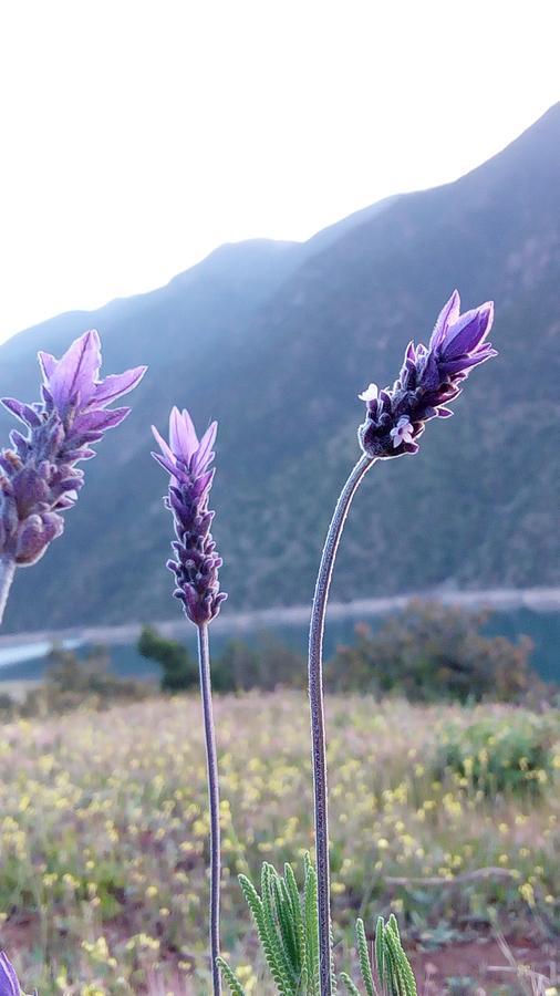 Gite Du Lac Ouirgane Kültér fotó